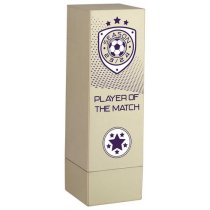 Prodigy Tower Player Of The Match Football Trophy | Gold | 160mm | G23