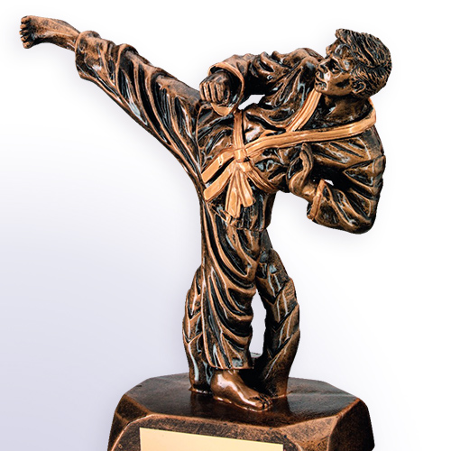 Martial Arts Trophies