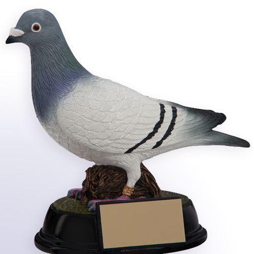 Pigeon Trophies