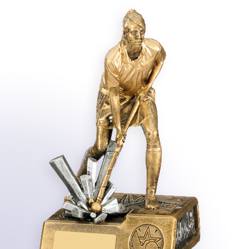 Hockey Trophies