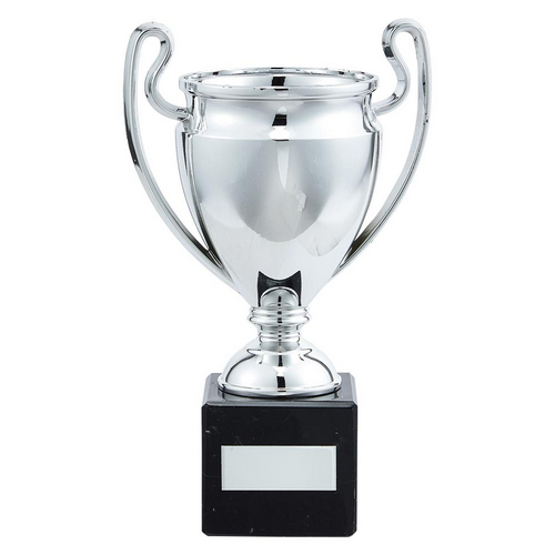 Budget Trophy Cups