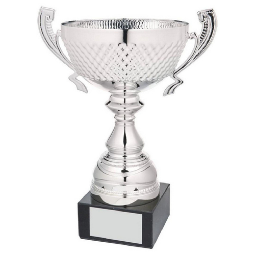 Metal Bowl Trophy Cups