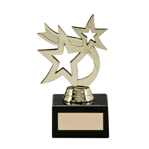 Hunter Stars Multi-Sport Trophy | 110mm | G23