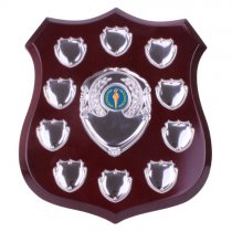 Illustrious Annual Shield Trophy | 215mm |