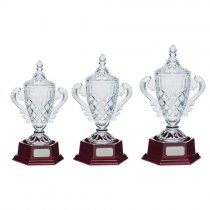 Lindisfarne Champions Cup Vase & Base | 275mm |