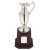 Nickel Plated Claret Jug on Tall Wood Plinth | 305mm | T.7563 - SV748