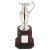 Nickel Plated Claret Jug on Tall Wood Plinth | 280mm | T.7562 - SV747