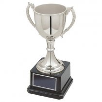 Classic Nickel Plated Trophy Cup | 220mm | B66
