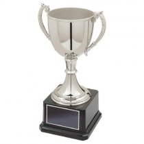 Classic Nickel Plated Trophy Cup | 195mm | B25