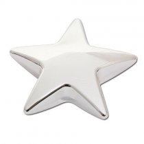 Paperweight | Star | Silver Plated Star | Gift Boxed