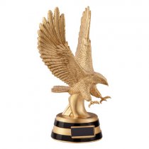 Motion Extreme Golden Eagle Trophy | 250mm | G5