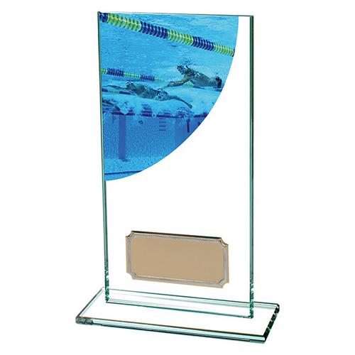 Colour Curve Swimming Jade Glass Trophy | 160mm |