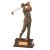 The Classical Male Golf Trophy | 220mm | G7 - RF17065C