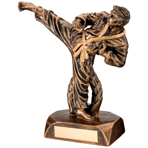 Karate Trophy | 191mm |