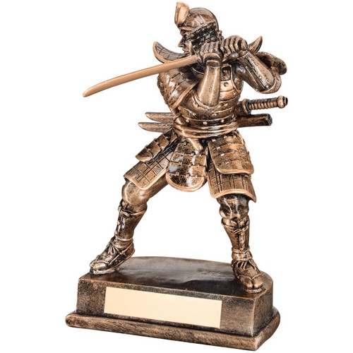 Samurai Martial Arts Trophy | 203mm | G50