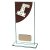 Colour Curve Dominoes Jade Glass Trophy | 180mm |  - CR4623C