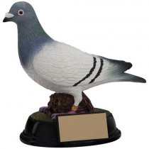 Elite Pigeon Racing Trophy | 145mm | G24