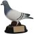 Elite Pigeon Racing Trophy | 145mm | G24 - RF4157A