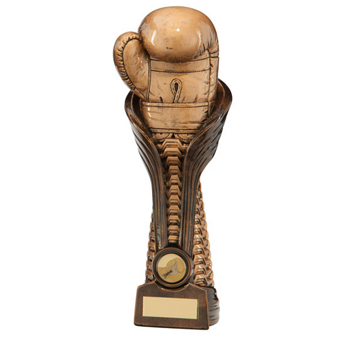 Gauntlet Boxing Trophy | 250mm | G24