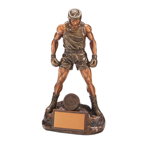 Ultimate Boxing Trophy | 245mm | G25