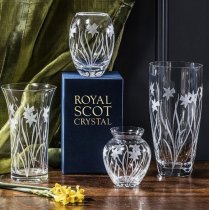 Royal Scot Daffodils Designs Lily Vase | 23cm