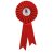 Champion Rosette | Red | 300mm - RO7258B