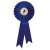 Champion Rosette | Blue | 255mm - RO7259A