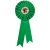 Champion Rosette | Green | 255mm |  - RO7261A