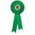 Champion Rosette | Green | 300mm |  - RO7261B