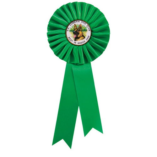 Champion Rosette | Green | 300mm |