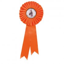 Champion Rosette | Orange | 300mm |