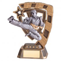 Euphoria Karate Trophy | 130mm | G5
