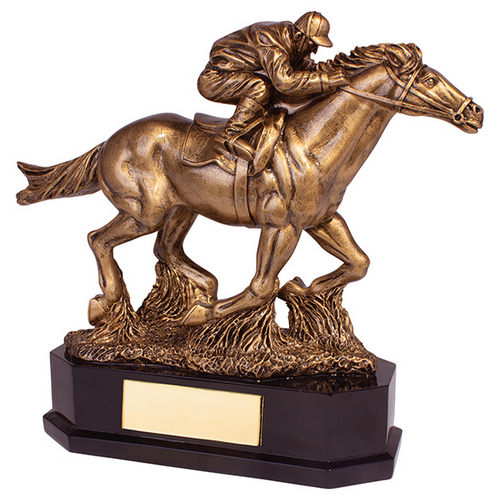 Aintree Equestrian Racing Horse Trophy | 220mm |