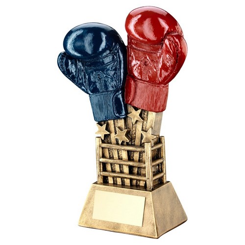 Ringside Boxing Trophy | 165mm |