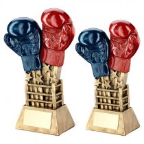 Ringside Boxing Trophy | 165mm |