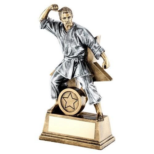 Star Male Martial Arts Trophy | 178mm |