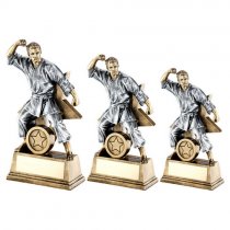 Star Male Martial Arts Trophy | 178mm |