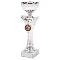Arches Silver Trophy Cup | Metal Bowl | 210mm | S6