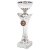 Arches Silver Trophy Cup | Metal Bowl | 210mm | S6 - 1046D