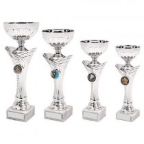 Arches Silver Trophy Cup | Metal Bowl | 210mm | S6