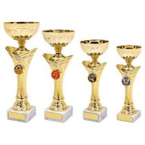 Arches Gold Trophy Cup | Metal Bowl | 210mm | G6