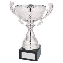 Marquise Silver Presentation Trophy Cup With Handles | Metal Bowl | 270mm | S31