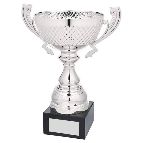Marquise Silver Presentation Trophy Cup With Handles | Metal Bowl | 270mm | S31