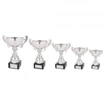 Marquise Silver Presentation Trophy Cup With Handles | Metal Bowl | 235mm | S31