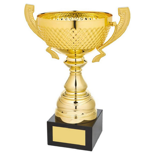 Marquise Gold Presentation Trophy Cup with Handles | Metal Bowl | 270mm | G58