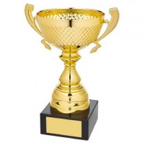 Marquise Gold Presentation Trophy Cup with Handles | Metal Bowl | 235mm | G58