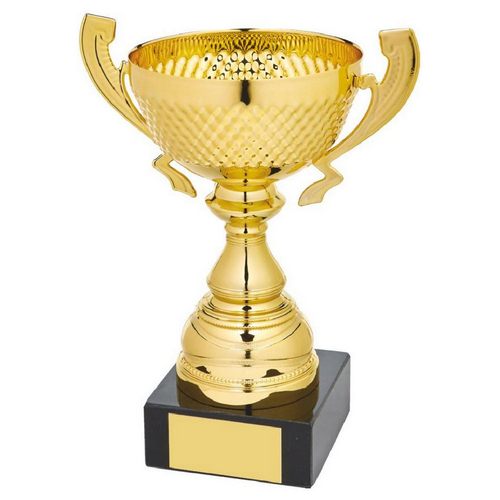 Marquise Gold Presentation Trophy Cup with Handles | Metal Bowl | 200mm | G24