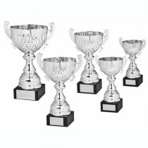Mogul Silver Presentation Trophy Cup With Handles | Metal Bowl | 235mm | S24