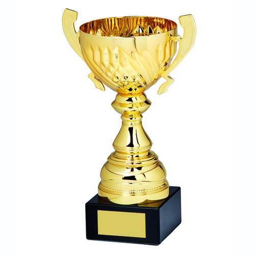 Mogul Gold Presentation Trophy Cup with Handles | Metal Bowl | 235mm | G24