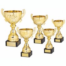 Mogul Gold Presentation Trophy Cup with Handles | Metal Bowl | 235mm | G24